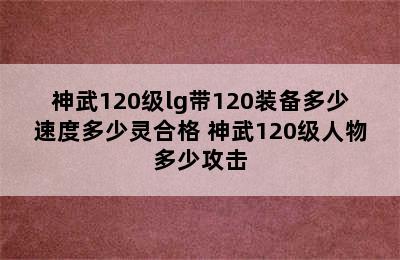 神武120级lg带120装备多少速度多少灵合格 神武120级人物多少攻击